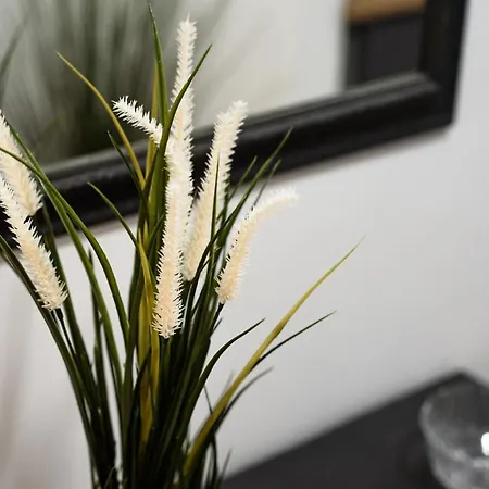 Af Apartamento